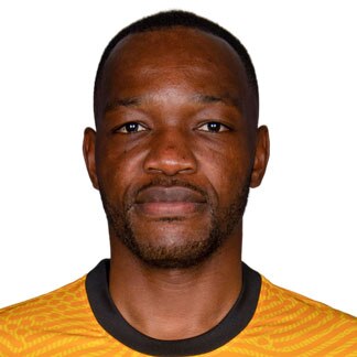 Steve Mandanda la EURO 2020