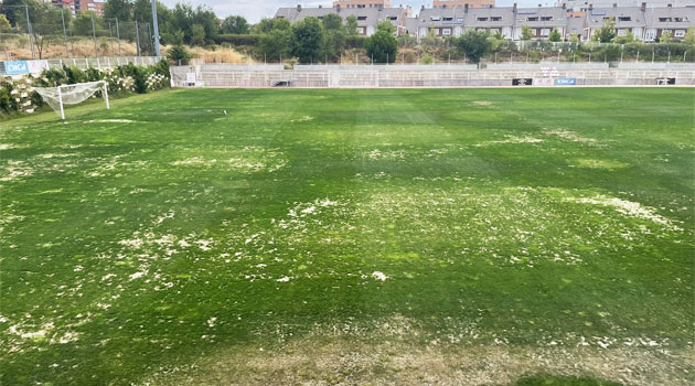Terenul de antrenament al lui Rayo Vallecano, afectat de o ciupercă